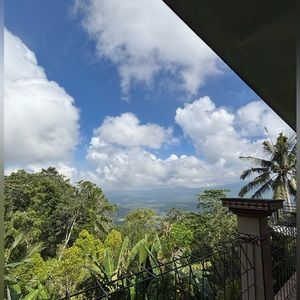 Meet your Posher, Rylynn